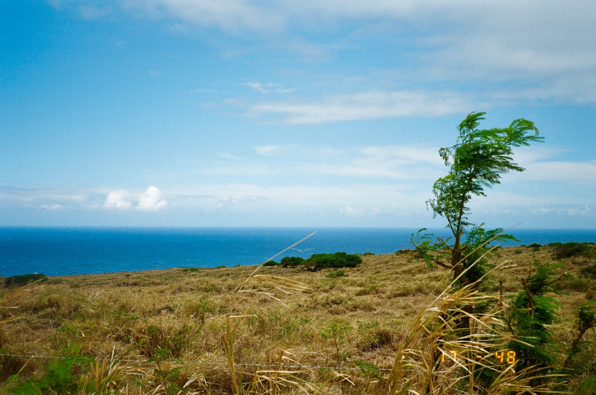 Big Island Breeze