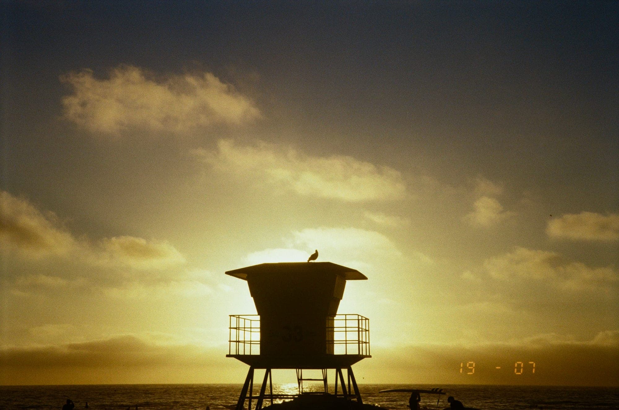 Golden Bird